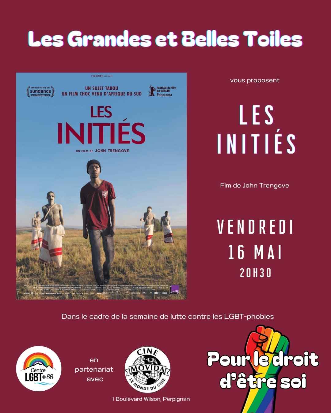 Affiche du film Les initiés